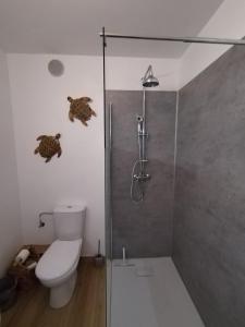 een badkamer met een toilet en een glazen douchecabine bij STUDIO AVEC COIN NUIT in Roquebrune-Cap-Martin