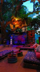 Zimmer mit Sofas und einem Baum und einer Bühne in der Unterkunft Mitra Hostel in Arambol