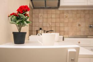 wazon z czerwonym kwiatem na blacie kuchennym w obiekcie Areti's Home! w mieście Ágios Rókkos
