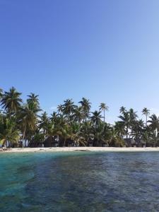 a view of a beach with palm trees and the ocean at Islas Bonitas in Arritupo Número Dos