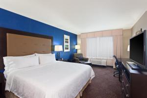 タコマにあるHoliday Inn Express & Suites Tacoma Downtown, an IHG Hotelの大型ベッド1台、薄型テレビが備わるホテルルームです。