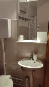 a bathroom with a sink and a toilet and a mirror at Za uzivanje u miru in Priboj