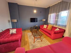 安卡拉的住宿－Kirpi 8，客厅配有2张红色沙发和电视