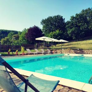 a swimming pool with chairs and umbrellas at Les nids de Bonnan in Milhars