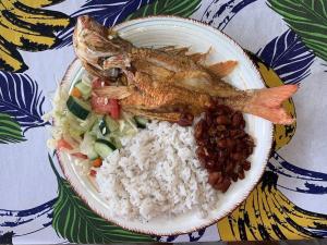 a plate of food with rice and fish and vegetables at Islas Bonitas in Arritupo Número Dos