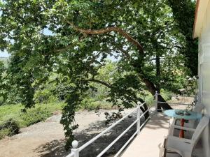 Billede fra billedgalleriet på Dimas House i Kanallaki