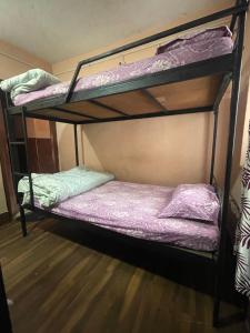 2 Etagenbetten in einem Zimmer mit lila Bettwäsche in der Unterkunft Nirvaan Guest House (Hotel Bibidh) in Kathmandu