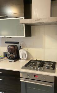 Kuchyň nebo kuchyňský kout v ubytování Apartament Świder