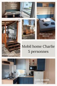 Kuchnia lub aneks kuchenny w obiekcie Mobil Home proche EUROPA PARK/RULANTICA