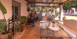 une terrasse avec un canapé, une table et des plantes dans l'établissement Casa Rural Los Menestrales, à Lora del Río