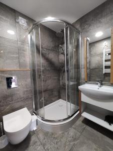 y baño con ducha, aseo y lavamanos. en Dwie Chatki domek, en Sandomierz