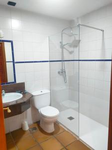 Un baño con inodoro y ducha de cristal. en Alojamientos La Dehesa, en El Berrueco
