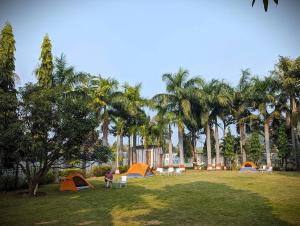 a group of tents in a field with palm trees at The Cozy One (tikuri) in Khajurāho