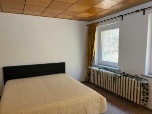 1 dormitorio con cama y ventana en Pension Sternschnuppe, Treseburg Harz mit Biergarten & Restaurant, tierfreundlich, en Thale