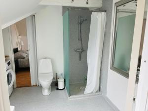 奧胡斯的住宿－Lovely 1 room Apartment Aarhus C，带淋浴、卫生间和镜子的浴室