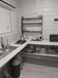 a kitchen with a sink and a counter top at Biesiesvlei 1 in Plettenberg Bay