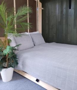 łóżko w pokoju z rośliną obok w obiekcie Hemma fran Hemma - Stuga w mieście Kvillsfors