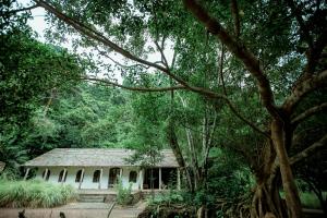 a building in the middle of a forest of trees at Ancient House Cat Ba in Hai Phong