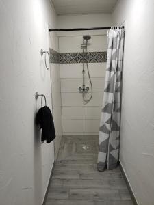 eine Dusche mit Duschvorhang im Bad in der Unterkunft Ferienwohnung Waldeule in Bad Kissingen