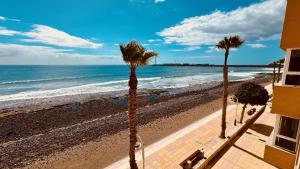 un groupe de palmiers sur une plage dans l'établissement Click&Guest - Bright Sun House with Sea Views, à Agüimes