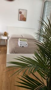 a bed in a room with a potted plant at Studio Apartment mit Stellplatz in Bielefeld