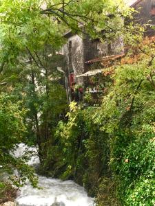 a stream in front of a house with trees at Grande maison cévenole authentique in Valleraugue