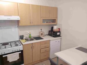 Kjøkken eller kjøkkenkrok på Apartman Selska