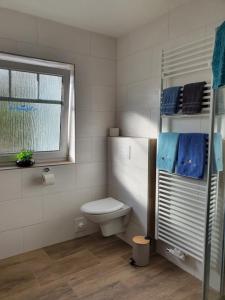 a bathroom with a toilet and a window at Haus am Bürgerpark Hage EG in Hage