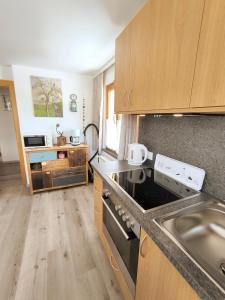 a kitchen with a sink and a stove top oven at Ferienwohnung Spitzmandl in Innsbruck