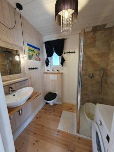 a bathroom with a sink and a shower and a toilet at Patio Dębki in Dębki