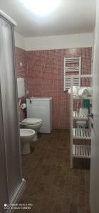 La salle de bains est pourvue de toilettes et d'un lavabo. dans l'établissement BELLA PRIMO PIANO, à Forlì