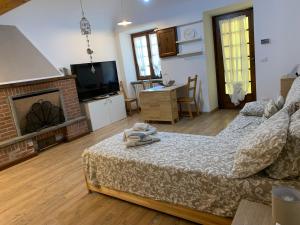 salon z łóżkiem i kominkiem w obiekcie CasArte: monolocale TERRA w mieście Alpignano