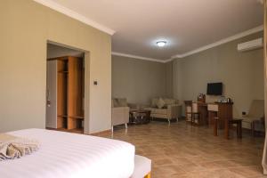 Haile Hotel Wolaita في Sodo: غرفة نوم مع سرير وغرفة معيشة