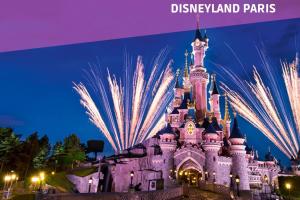 ein Bild von Disneyland Paris in der Nacht mit Feuerwerk in der Unterkunft V2 Studio Proche Disney Village Nature in Villiers-sur-Morin + 2 Fotos