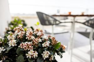 a potted plant with white flowers on a table at Penthouse With Sunny Terrace in Msida