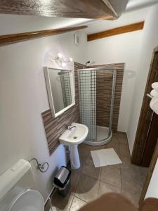 un bagno con lavandino, doccia e WC di Ammon Chalet a Bran Altre 88 foto