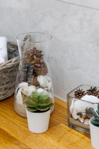 szklaną wazę wypełnioną muszelkami i roślinami na stole w obiekcie Elegant Apartment Na Wydmach with Balcony and Parking by Renters w mieście Międzywodzie