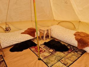 a room with two beds in a tent at Naturlig Viis in Øster Ulslev