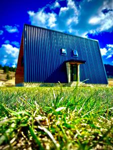 a blue building in a field of green grass at Elviu Guesthouse in Lacu Rosu