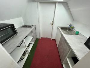 a small kitchen with a sink and a red carpet at Room in Guest room - Pension Forelle - double room n01 in Forbach