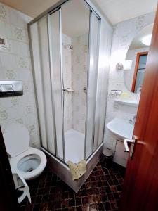 a bathroom with a shower and a toilet and a sink at Room in Guest room - Pension Forelle - double room n01 in Forbach