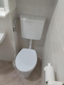 een badkamer met een wit toilet en een wastafel bij Studio Kaninska vas in Bovec +31 foto's
