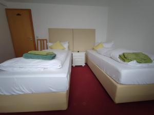 two twin beds in a room with red carpet at Room in Guest room - Pension Forelle - double room 01 in Forbach
