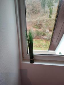 a potted plant sitting on a window sill at Room in Guest room - Single room with shared bathroom and kitchen in Forbach in Forbach