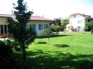 une cour verdoyante avec une maison et un arbre dans l'établissement BnB Atelier de St. Maurice, à Vésenaz