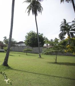 a field of grass with palm trees and a fence at Masaki Seaside Charm: Spacious Hideaway in Dar es Salaam