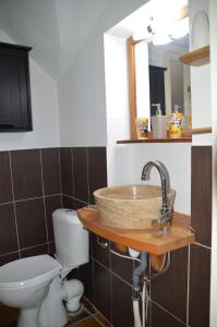 a bathroom with a sink and a toilet at Maison au Loup - Superbe ancien hotel particulier du XVIe siècle au cœur de la vieille ville du Puy in Le Puy-en-Velay