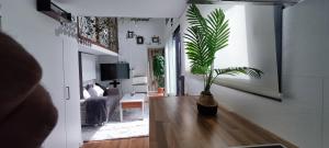 a living room with a potted plant on a wooden floor at Fantástica Tiny House De luxe in Canet de Mar