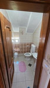ein Bad mit einem WC und einem Waschbecken in der Unterkunft Karolina Guest House in Ohrid