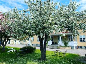 un albero di magnolia di fronte a un edificio di Vadstena Vandrarhem-Hostel a Vadstena